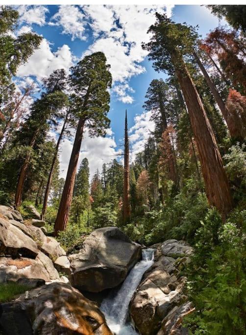 Sequoia Villa バイセイリア エクステリア 写真