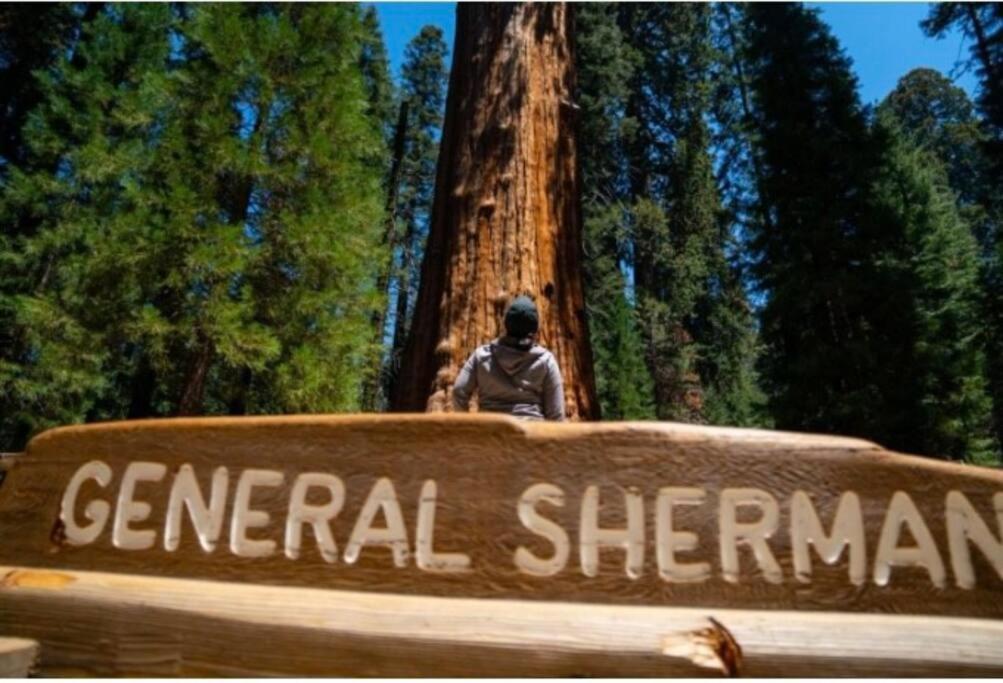 Sequoia Villa バイセイリア エクステリア 写真