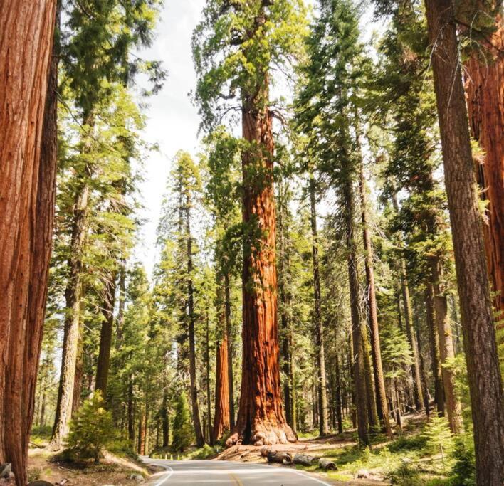 Sequoia Villa バイセイリア エクステリア 写真